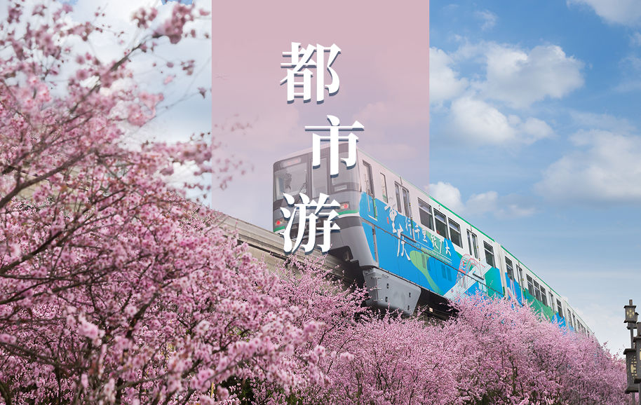 完美真人