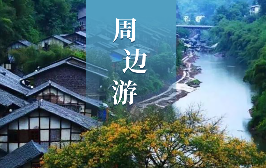 完美真人