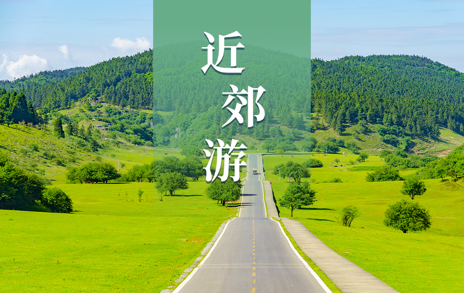 完美真人