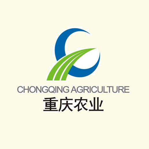完美真人