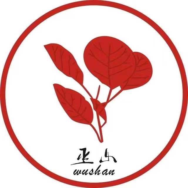 完美真人