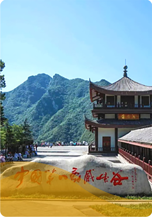 完美真人